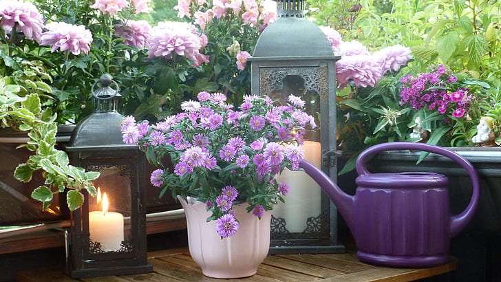 purple flowers beside candle lanterns and watering can