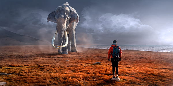 man wearing red jacket standing in front of an gray elephant