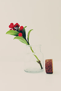 red fruit on mason jar beside cork lid