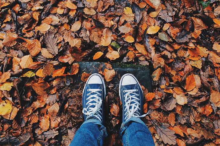 person wearing pair of blue low-top sneakers and blue jean stepping on ground covered with withered leaves