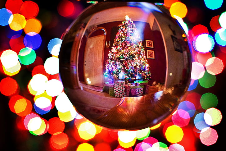 360 degree photography of Christmas tree with lights and ornaments