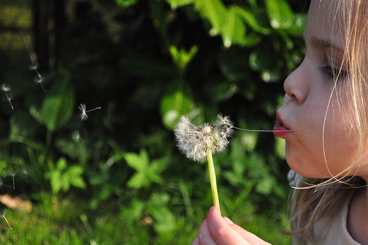 girl blowing dadelion plant