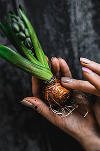 Woman making a little ornamental seedling in a small jar