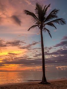 625 Royalty Free Sunrise Beach Photos Orientation Vertical