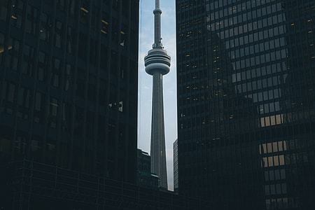 CN tower near high rise buildings during daytime