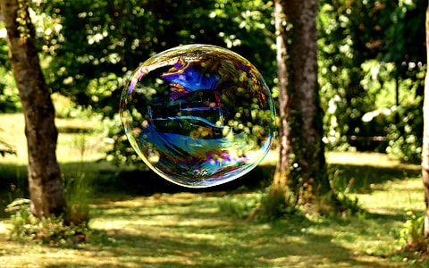 close up photo of bubble near trees