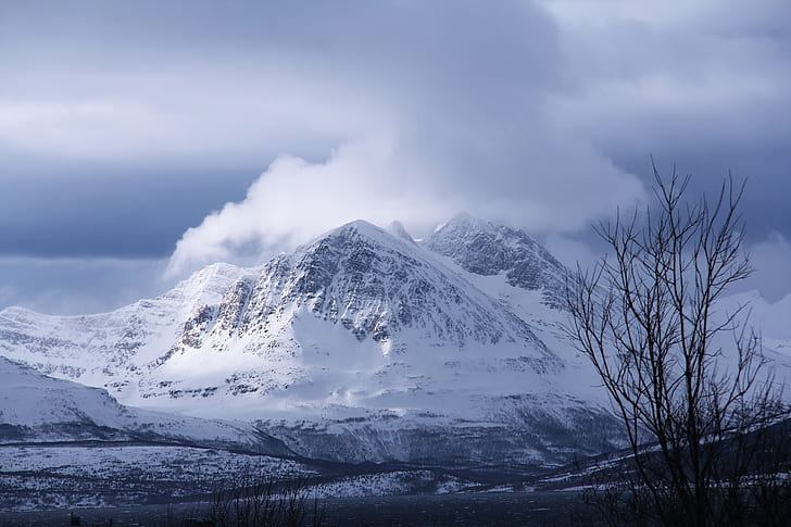 landscape photography of snowy mountain and withered tree under cloudy sky during daytime