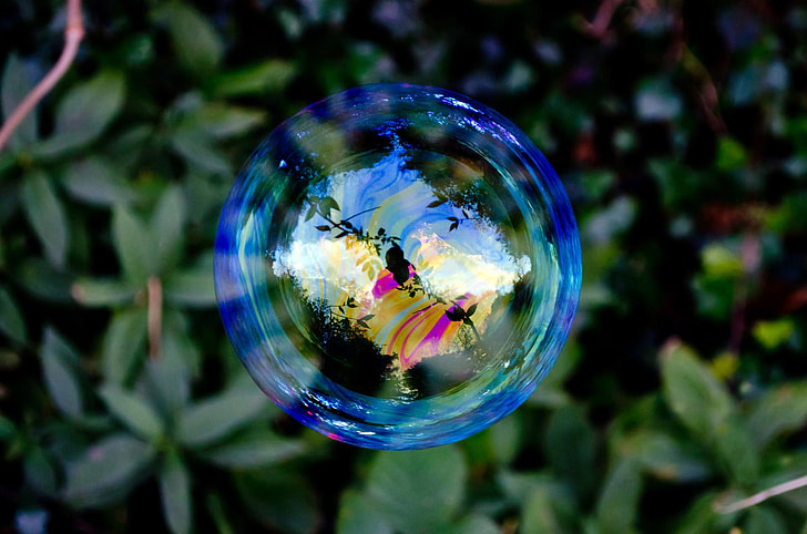 selective photography floating bubble near green leaves