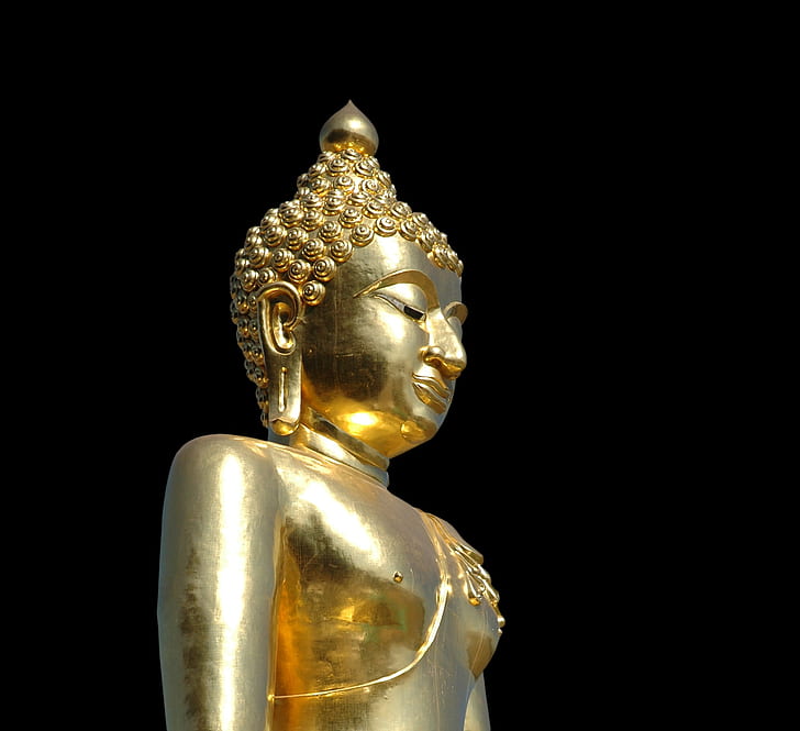 gold-colored Buddha