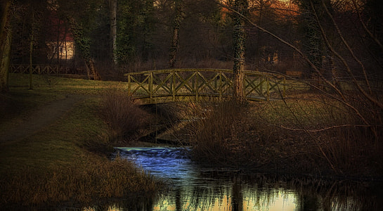 wooden bridge on body of water surrounded by trees
