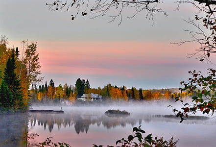 landscape photography of foggy pine trees in front of lake