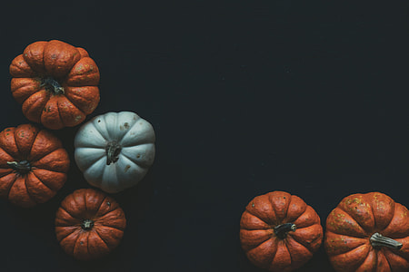 Overhead shot of pumpkins on a dark background