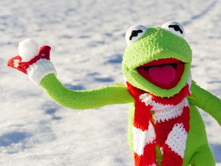 Kermit the Frog holding snowball