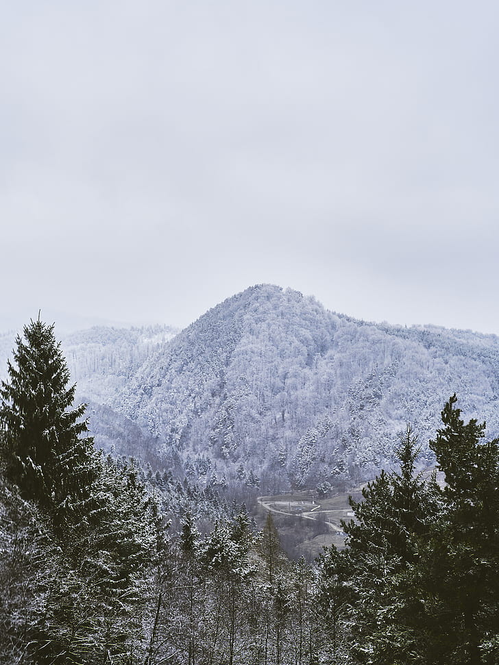 snow covered pine trees on mountain taken under white clouds during daytime