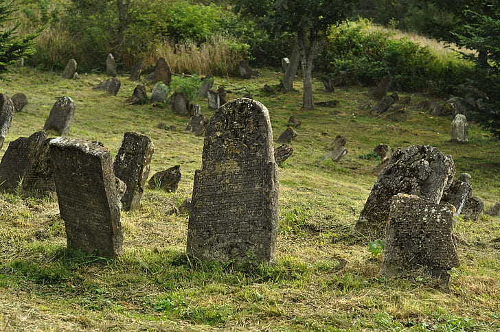 gray tombstones on green grass