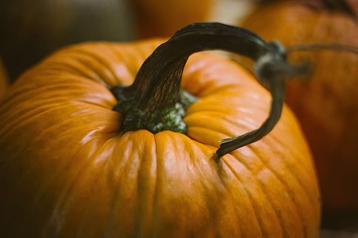 close-up photo of pumpkin