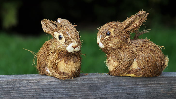 two brown bunnies on fence