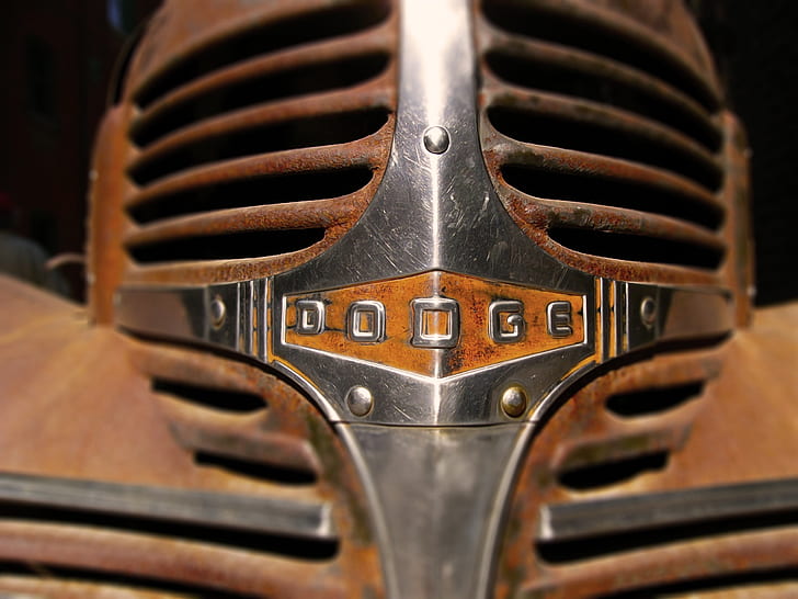 closeup photo of brown and silver Dodge emblem