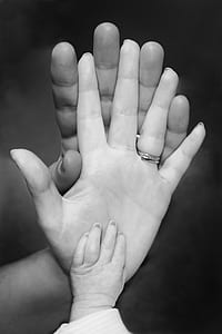 family hands photo