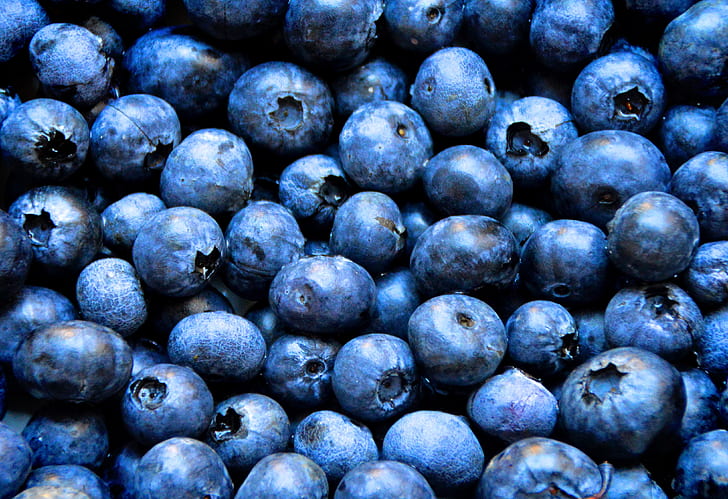 blue blueberries lot