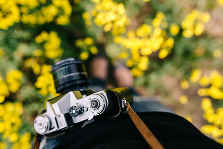 Woman with vintage camera in the field of blooming rapes