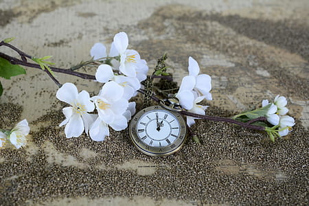 round silver-colored pocket watch and white flowers on sand