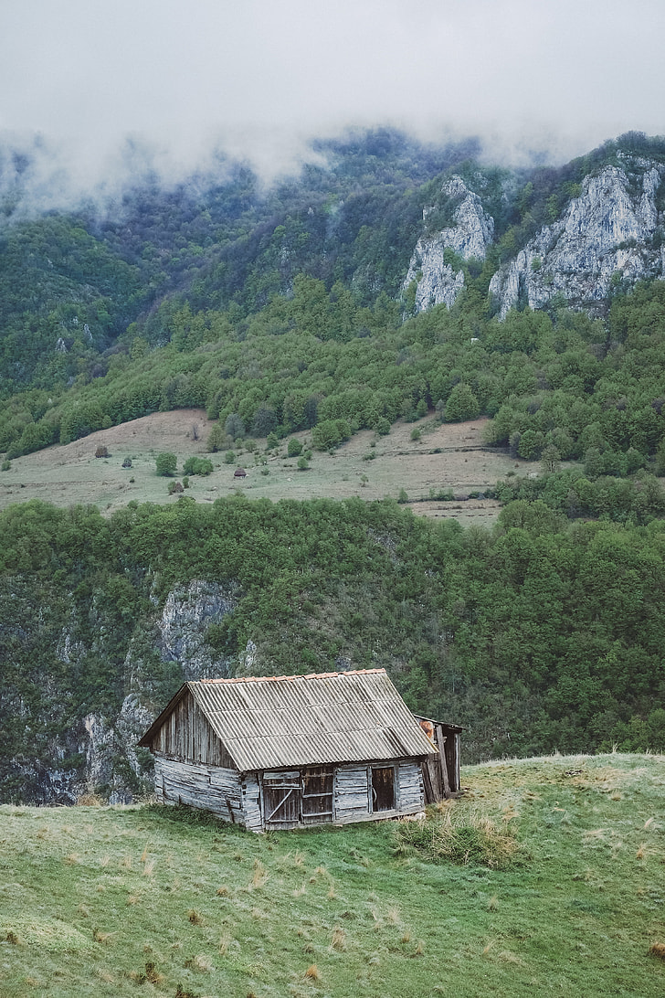 brown wooden cabin on mountain