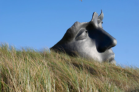 black human face statue on top of grass field