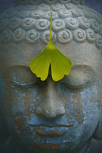 Buddha statue with green leaf