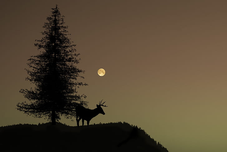 silhouette of buck deer near pine tree