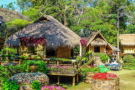 Photo of Huts Surrounded by Flowers