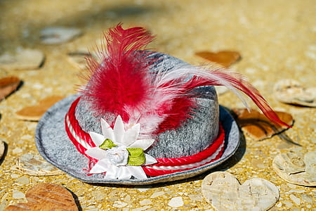 gray and red feather themed hat