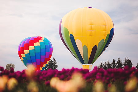 Two Assorted Color Hot Air Balloons