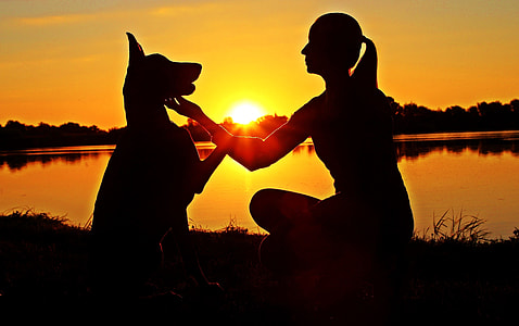 silhouette of woman and dog near body of water during sunset