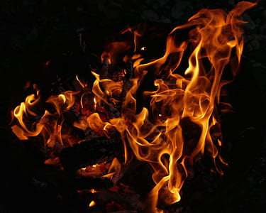 photography of bonfire