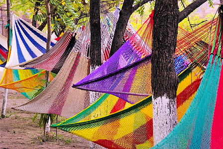 assorted-color knit hammock near trees