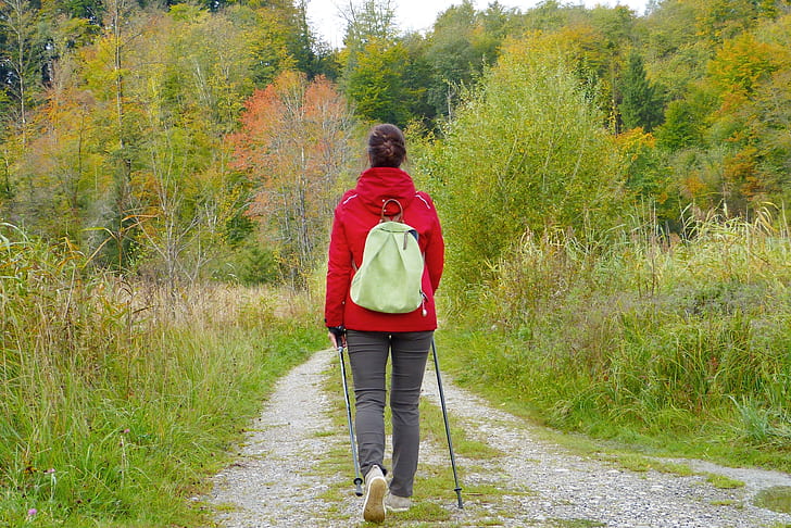 woman wearing red hoodie walking on pathway in between forest