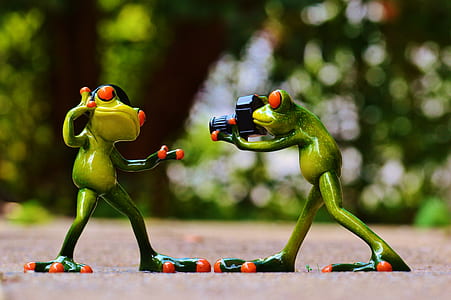 two green frogs standing on beige surface during daytime