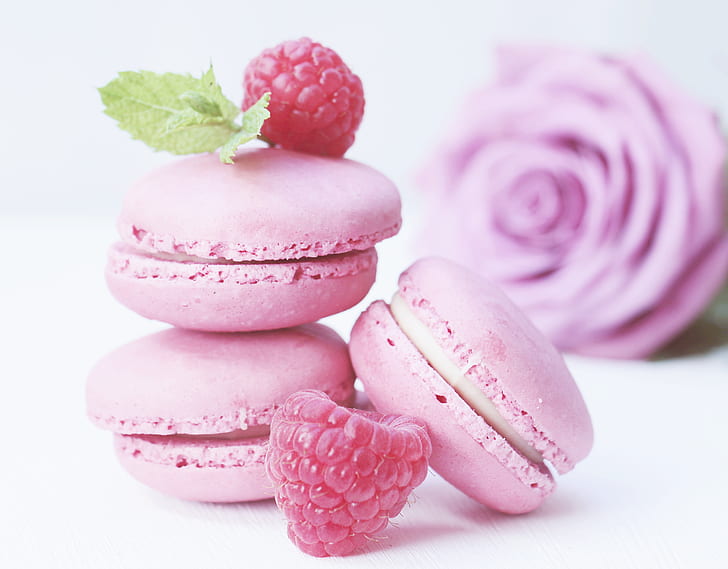 pink macarons, raspberries, and pink rose flower with white background