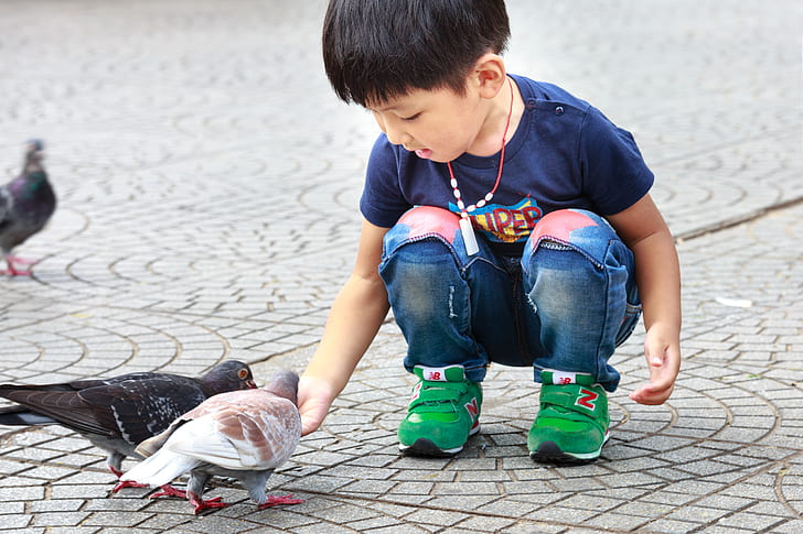boy feeding two pigeons