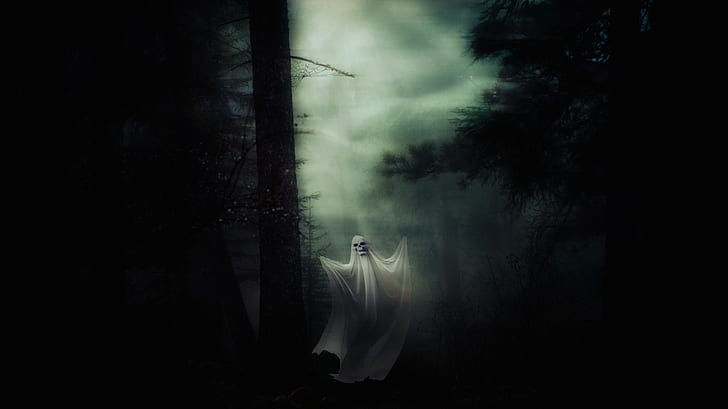 ghost in forest during night time