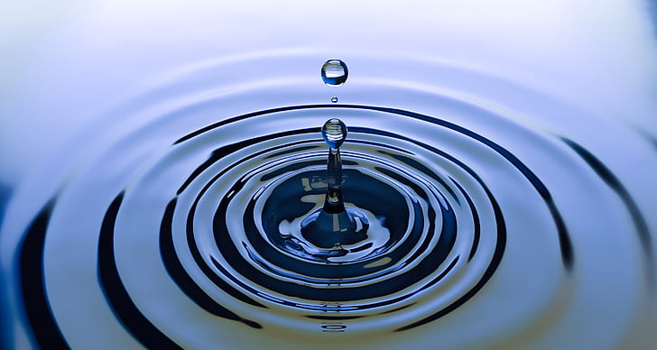 photography of water drop