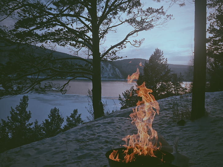 bonfire near lake photo