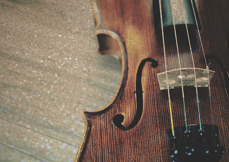 brown violin in focus photography