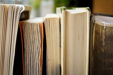 closeup photo of five books