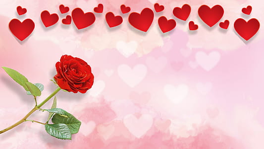 red rose with red hearts clip art