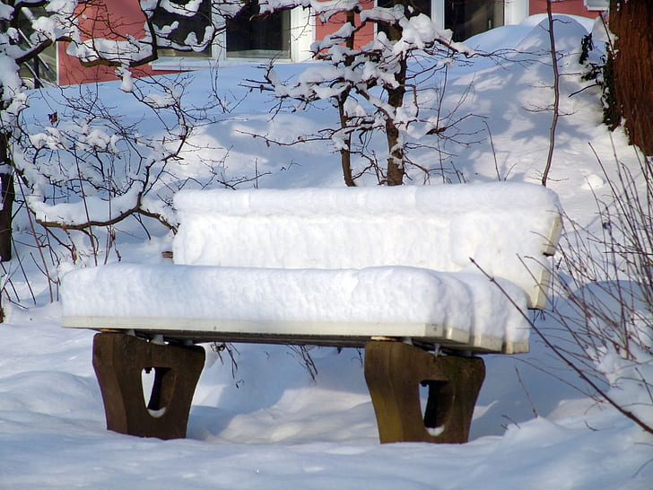 white and brown wooden bench covered with white snow near brown bare trees at daytime