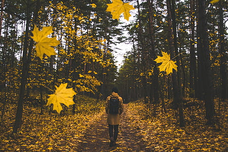 person wearing brown coat walking near trees during daytime