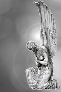 gray angel illustration