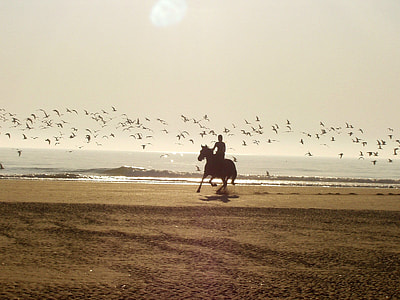 silhouette of man riding on horse near body of water